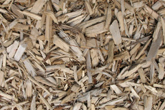 biomass boilers Copcut